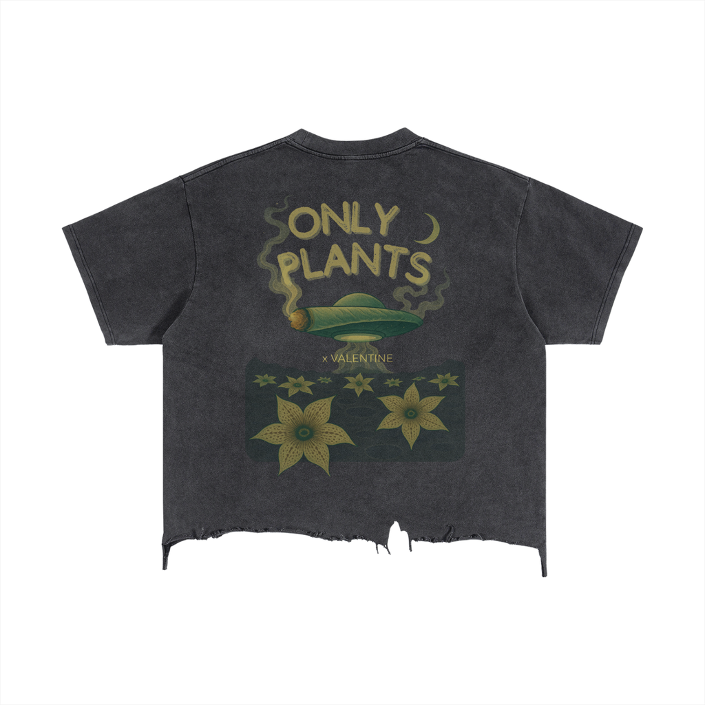 graphictshirt,streetweartee,vintagewashtee,distressedtshirt,oversizedtshirt,boxyfittee,collabmerch,artistcollabshirt,albummerch,musicmerchshirt,onlyplants,xvalentinemerch,420streetwear,smokegraphictee,mysticalgraphictee,darkacademiastreetwear,fadedblacktee,rawhemshirt,unisexstreetwear,vintagealbumtee,stonerstreetwear,moodyaestheticclothing,indieartistmerch,limitededitiontee,number14shirt