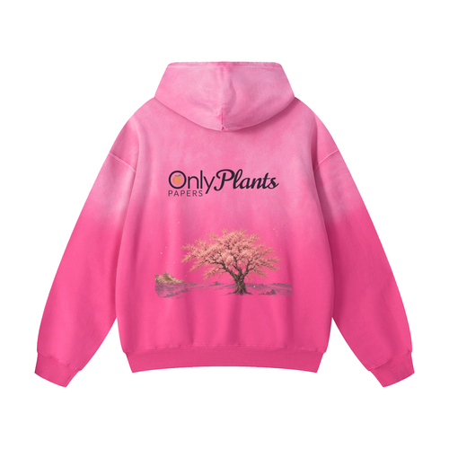Katakana ONLY PLANTS PAPERS Heavyweight Sunfade Hoodie