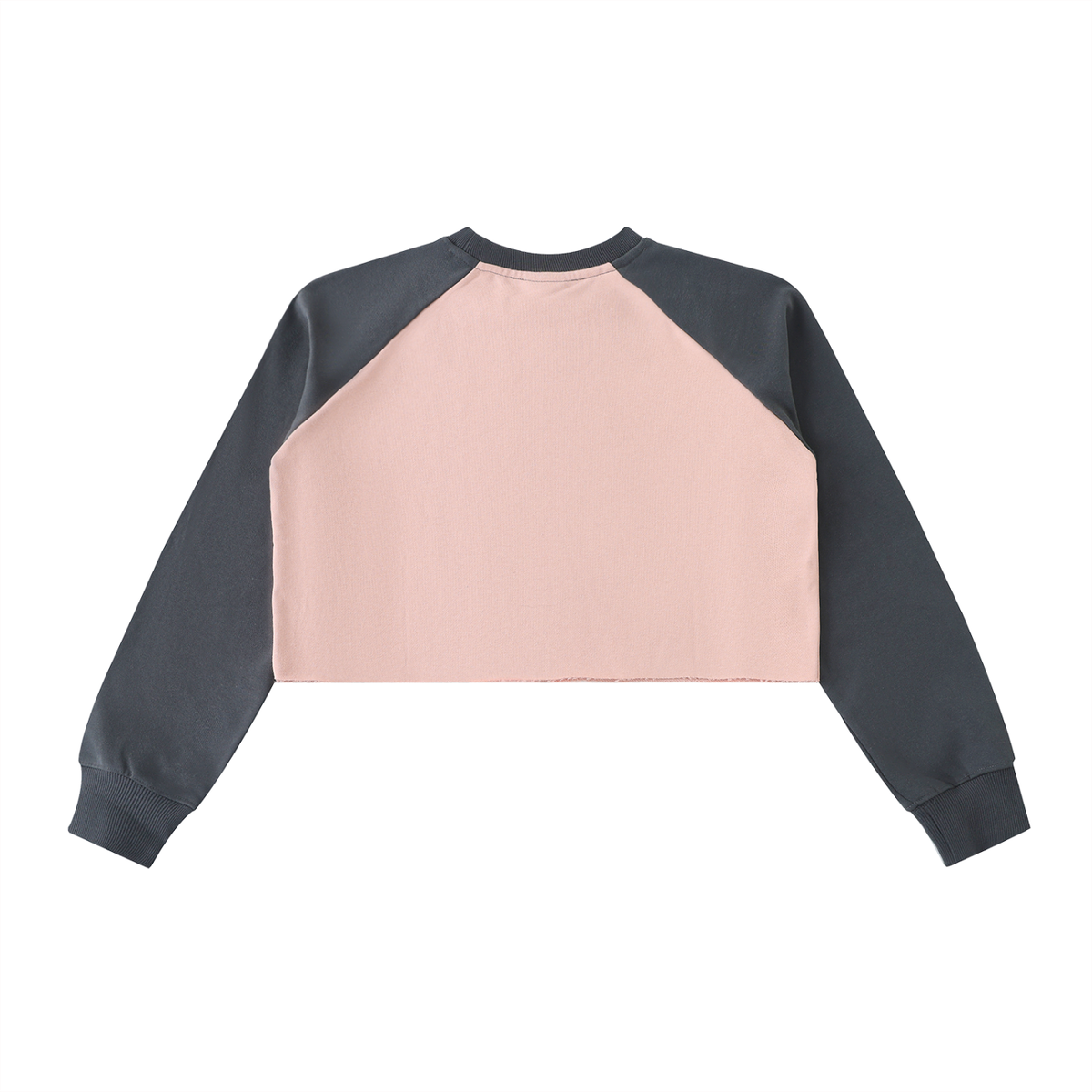 Only Plants Papers | Barcode Women's Crop Sweatshirt Raglan Crop Sweatshirt, Colorblock