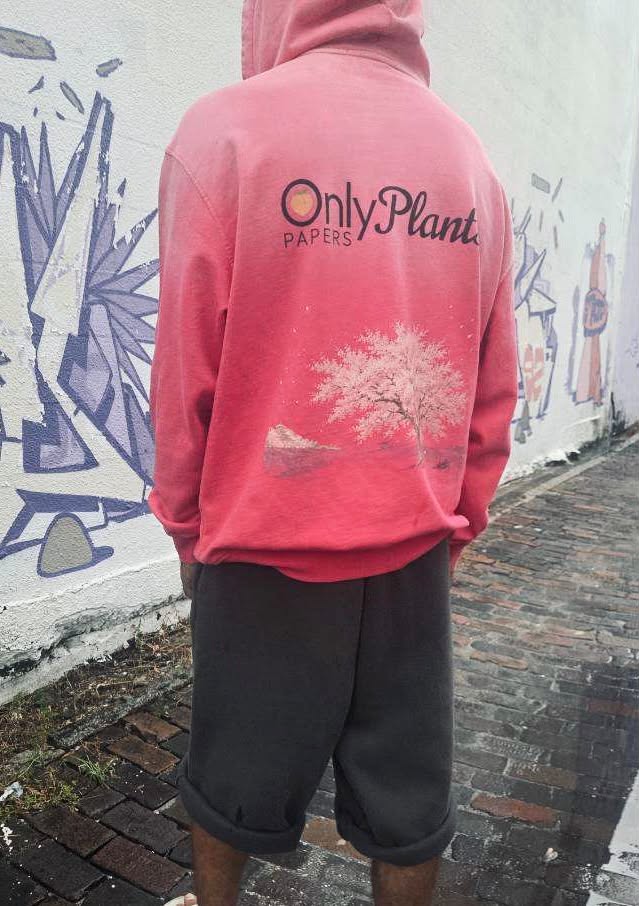 Katakana ONLY PLANTS PAPERS Heavyweight Sunfade Hoodie