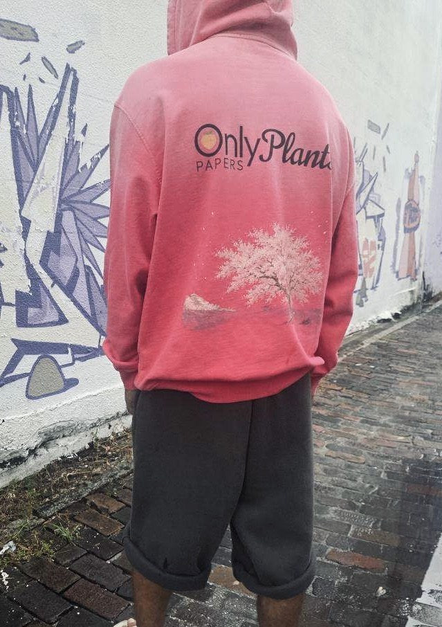 Hanami