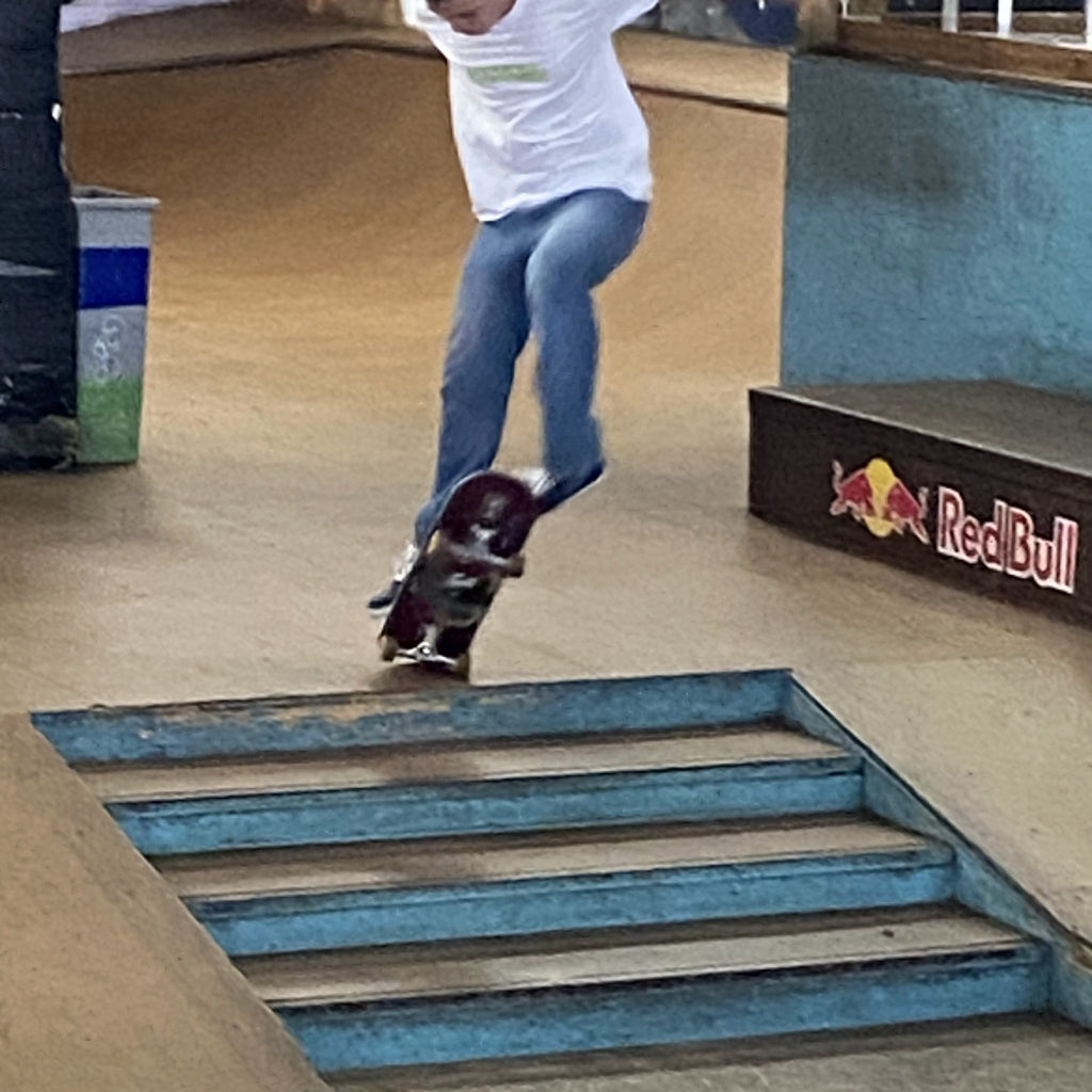 PAPERS Skate Nug Tee